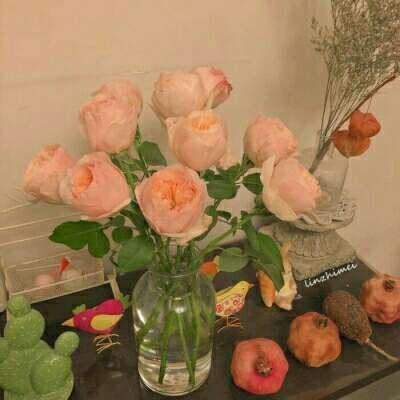 大发彩票appapp下载截图